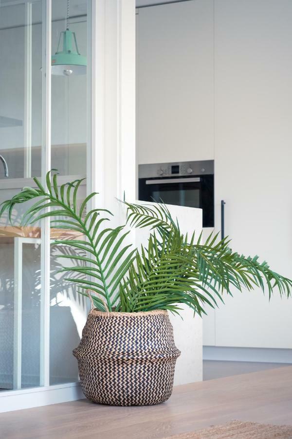 Apartamento Loiola Azpeitia Exteriör bild